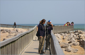 Cape Cross