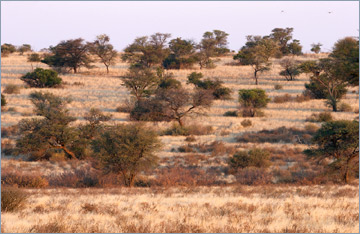 Ausblick in Grootkolk