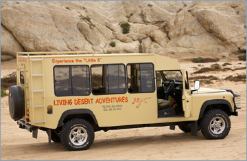 Living Desert Tour