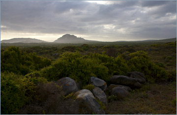 West Coast National Park