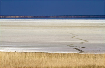 Etosha-Pfanne