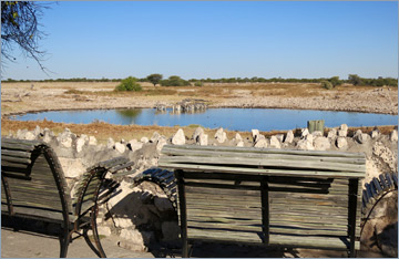 Wasserloch im Camp Okaukuejo am Morgen