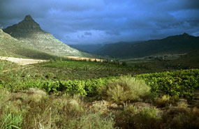 Klein Boschkloof - Clanwilliam