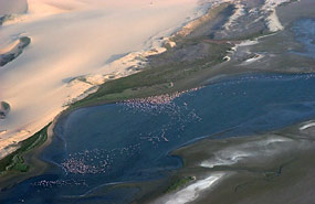 Flamingos in der Lagune von Sandwich Harbour