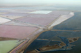 Salzpfannen bei Walvis Bay