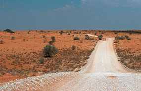 Weg über die Dünen