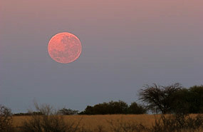 Mond kurz vor Sonnenaufgang