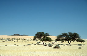 auf der Straße B4 kurz vor Lüderitz