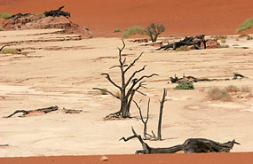 Deadvlei