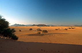 Blick von der Elimdüne