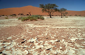 Deadvlei