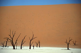 Deadvlei