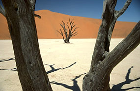 Deadvlei