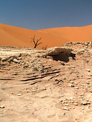 Deadvlei