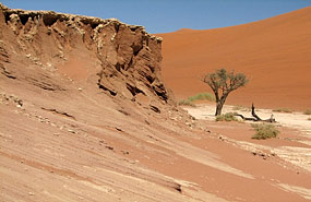 Deadvlei