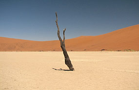 Deadvlei