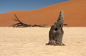 Deadvlei