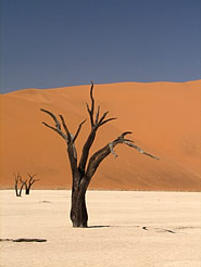 Deadvlei