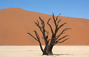 Deadvlei