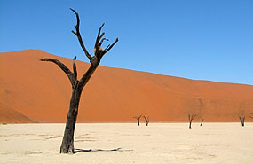 Deadvlei