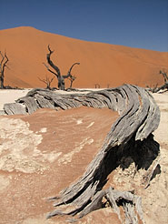 Deadvlei