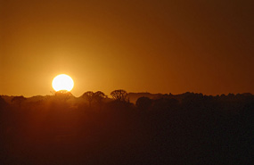 Sonnenuntergang am Köcherbaumwald, Keetmanshoop