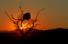 Sonnenaufgang vorm 'Schwalbennest'