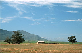 auf dem Weg von Yzerfontein nach Kamieskroon