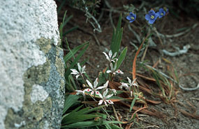 West Coast National Park